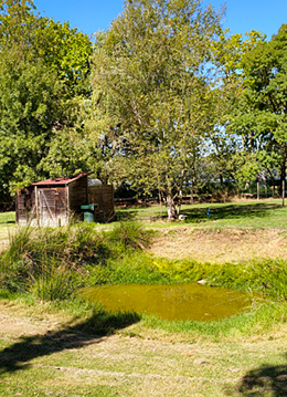 Parc de la Draga